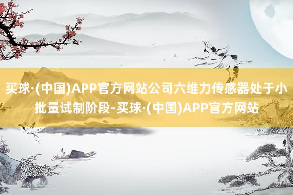 买球·(中国)APP官方网站公司六维力传感器处于小批量试制阶段-买球·(中国)APP官方网站