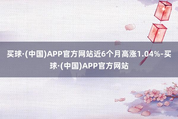 买球·(中国)APP官方网站近6个月高涨1.04%-买球·(中国)APP官方网站